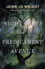 Night Falls on Predicament Avenue By Jaime Jo Wright Cover Image