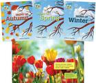 Signs of the Seasons (Set) By Colleen Dolphin Cover Image