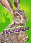 Jackrabbits (North American Animals) Cover Image