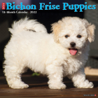 Just Bichon Frise Puppies 2022 Wall Calendar (Dog Breed) Cover Image