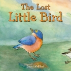 The Lost Little Bird By David McPhail, David McPhail (Illustrator) Cover Image