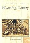 Wyoming County (Postcard History) By Sean Billings, Johanna S. Billings Cover Image
