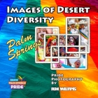 Images of Desert Diversity: Pride Photography Palm Springs By Ron Williams (Photographer), Ron Williams Cover Image