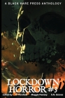 Lockdown Horror #3 By D. Kershaw (Editor) Cover Image