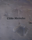 Cildo Meireles Cover Image