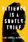 Patience Is a Subtle Thief: A Novel Cover Image