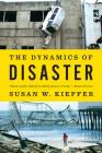 The Dynamics of Disaster Cover Image