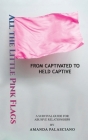 All the Little Pink Flags By Amanda Palasciano Cover Image