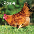 Chickens 2021 Square Cover Image