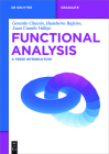 Functional Analysis: A Terse Introduction (de Gruyter Textbook) Cover Image