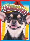 Chihuahuas (Doggie Data) Cover Image