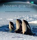 Frozen Planet: A World Beyond Imagination By Alastair Fothergill, Vanessa Berlowitz, David Attenborough (Foreword by) Cover Image