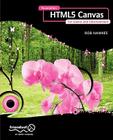 Foundation Html5 Canvas: For Games and Entertainment By Rob Hawkes Cover Image