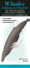 Whales, Dolphins and Porpoises of the Atlantic and Gulf Coasts: Nova Scotia to Caribbean Sea By Val Kells Cover Image