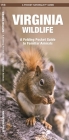 Virginia Wildlife: A Folding Pocket Guide to Familiar Species (Pocket Naturalist Guides) Cover Image