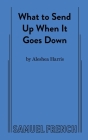 What to Send Up When it Goes Down Cover Image