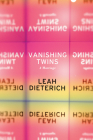 Vanishing Twins: A Marriage By Leah Dieterich Cover Image