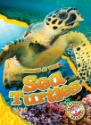 Sea Turtles (Animals at Risk) Cover Image