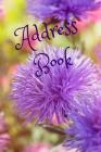Address Book: A 6x9 Inch Personal Address Book with 134 Pages By Monna Ellithorpe Cover Image