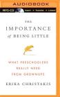 The Importance of Being Little: What Preschoolers Really Need from Grownups By Erika Christakis, Teri Schnaubelt (Read by) Cover Image