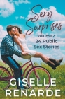 Sexy Surprises Volume 2: 24 Public Sex Stories Cover Image