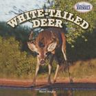 White-Tailed Deer (American Animals) By Meryl Magby Cover Image