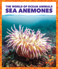Sea Anemones By Adeline J. Zimmerman, N/A (Illustrator) Cover Image