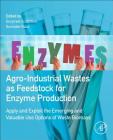Agro-Industrial Wastes as Feedstock for Enzyme Production: Apply and Exploit the Emerging and Valuable Use Options of Waste Biomass By Gurpreet S. Dhillon (Editor), Surinder Kaur (Editor) Cover Image