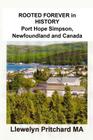 ROOTED FOREVER in HISTORY Port Hope Simpson, Newfoundland and Canada (Port Hope Simpson Mysteries #9) By Llewelyn Pritchard Cover Image