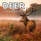 Deer Calendar 2021: 16-Month Calendar, Cute Gift Idea For Deer Lovers Women & Men Cover Image
