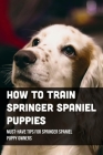 How To Train Springer Spaniel Puppies: Must-Have Tips For Springer Spaniel Puppy Owners: Raising A Springer Spaniel Puppy Cover Image