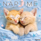 Naptime (Cats) 2023 Wall Calendar By Willow Creek Press Cover Image