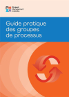 Process Groups: A Practice Guide (FRENCH) Cover Image