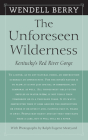 The Unforeseen Wilderness: Kentucky's Red River Gorge By Wendell Berry, Ralph Eugene Meatyard (Photographs by) Cover Image
