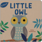 Little Owl By Britta Teckentrup Cover Image