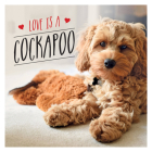 Love is a Cockapoo: A Dog-tastic Celebration of the World's Cutest Breed By Charlie Ellis Cover Image