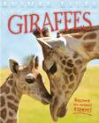 Giraffes (Animal Lives) Cover Image