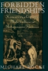 Forbidden Friendships: Homosexuality and Male Culture in Renaissance Florence (Studies in the History of Sexuality) By Michael Rocke Cover Image