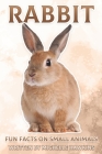 Rabbit: Fun Facts on Small Animals #1 By Michelle Hawkins Cover Image