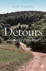Detours: Songs of the Open Road By Salil Tripathi Cover Image