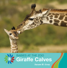 Giraffe Calves By Susan H. Gray Cover Image
