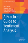 A Practical Guide to Sentiment Analysis (Socio-Affective Computing #5) Cover Image