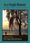 In a Fragile Moment: A Landscape of Canadian Poetry By Miguel Ángel Olivé Iglesias Cover Image