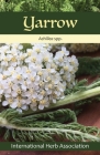 Yarrow: Herb of the Year(TM) 2024 Cover Image