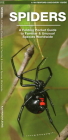 Spiders: A Folding Pocket Guide to Familiar Species Worldwide (Waterford Discovery Guide) Cover Image