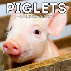 Piglets Calendar 2021: 16-Month Calendar, Cute Gift Idea For Baby Pig Lovers Men & Women Cover Image