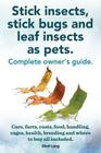 Stick Insects, Stick Bugs and Leaf Insects as Pets. Stick Insects Care, Facts, Costs, Food, Handling, Cages, Health, Breeding and Where to Buy All Inc By Elliott Lang Cover Image