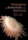Phylogeny and Evolution of the Mollusca Cover Image