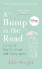 A Bump In The Road : A Story of Fertility, Hope and Trying Again Cover Image