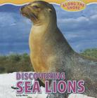Discovering Sea Lions (Along the Shore) By Lorijo Metz Cover Image